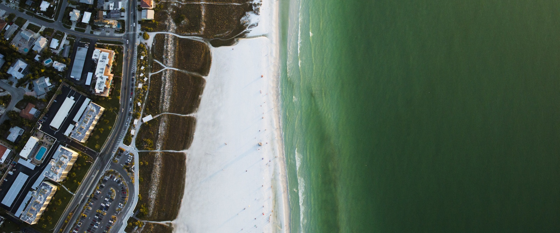 Comparing Political Climate: Southwest Florida vs. Other Regions in the State