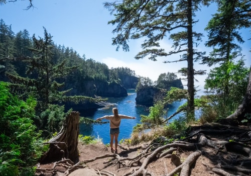 The Impact of Social Media on Political News Coverage in Southwest Florida